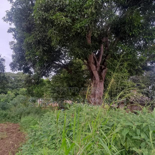 1/2 Acre/0.18 Hectare Plot on Sale at Kidzangoni Ukunda.