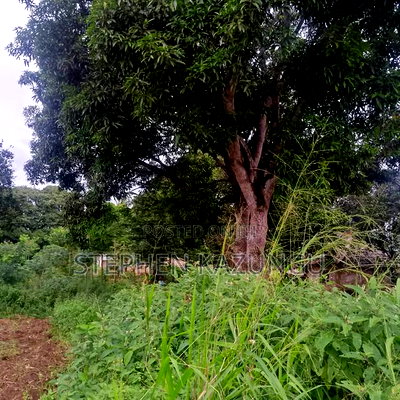 1/2 Acre/0.18 Hectare Plot on Sale at Kidzangoni Ukunda. - Image 6