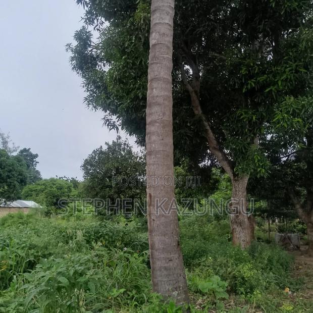 1/2 Acre/0.18 Hectare Plot on Sale at Kidzangoni Ukunda.