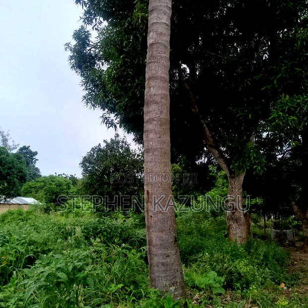 1/2 Acre/0.18 Hectare Plot on Sale at Kidzangoni Ukunda.