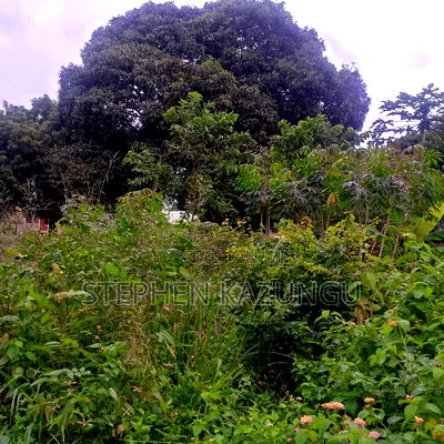 1/2 Acre/0.18 Hectare Plot on Sale at Kidzangoni Ukunda. - Image 12
