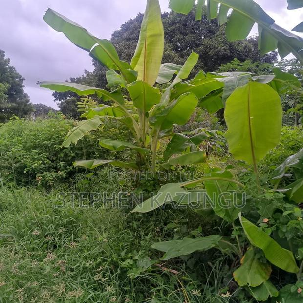1/2 Acre/0.18 Hectare Plot on Sale at Kidzangoni Ukunda.