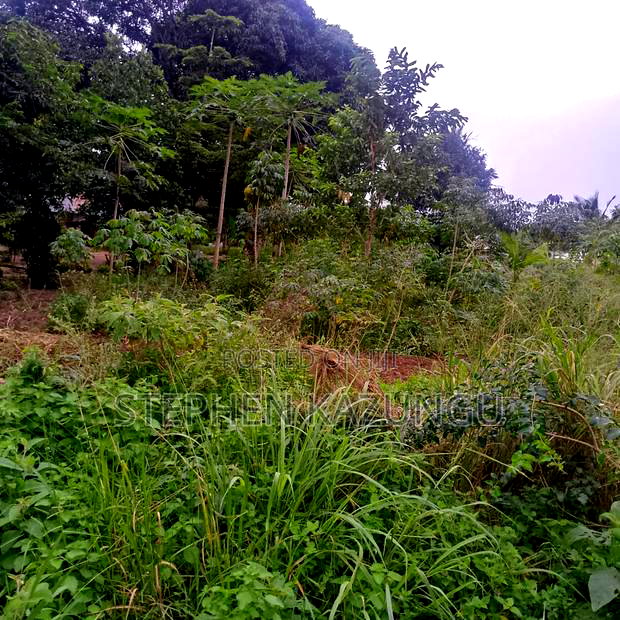 1/2 Acre/0.18 Hectare Plot on Sale at Kidzangoni Ukunda.