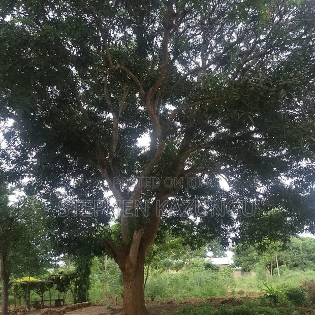 1/2 Acre/0.18 Hectare Plot on Sale at Kidzangoni Ukunda.