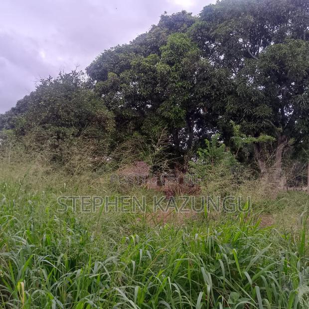 1/2 Acre/0.18 Hectare Plot on Sale at Kidzangoni Ukunda.