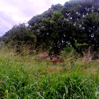 1/2 Acre/0.18 Hectare Plot on Sale at Kidzangoni Ukunda. - Image 14