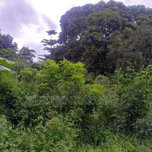 1/2 Acre/0.18 Hectare Plot on Sale at Kidzangoni Ukunda.