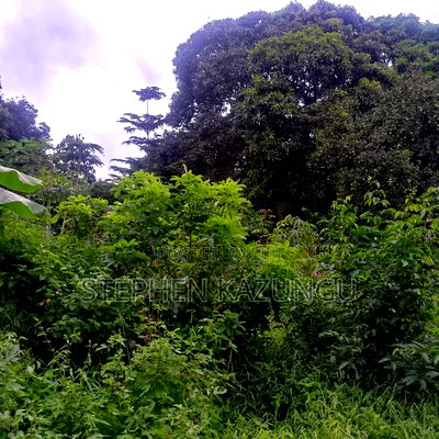 1/2 Acre/0.18 Hectare Plot on Sale at Kidzangoni Ukunda. - Image 13