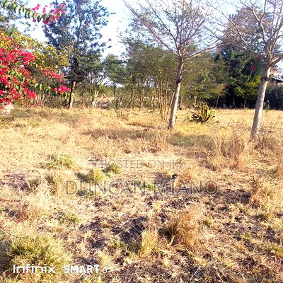 Land for Sale - Image 5