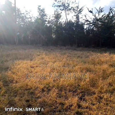 Land for Sale - Image 6