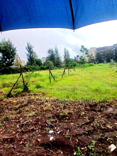 1/8th Acre Plot for Sale in Ruiru - Image 3