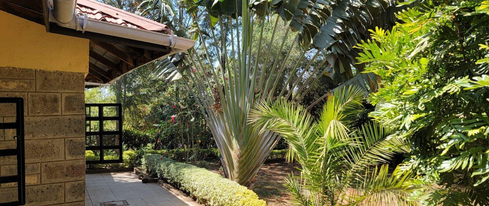 3BR Bungalow with Garden at KSh 90K