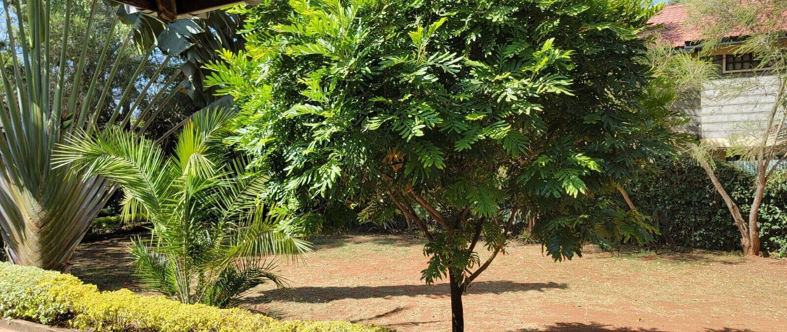 3BR Bungalow with Garden at KSh 90K