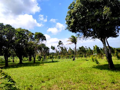 Secluded Escape - Image 3