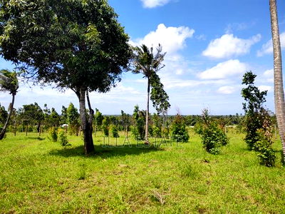 Secluded Escape - Image 4