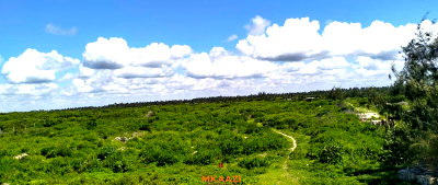5-Acre Beachfront Land for KSh 100M