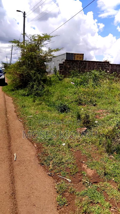 Kamakis 50x100 Commercial Plot. - Image 3