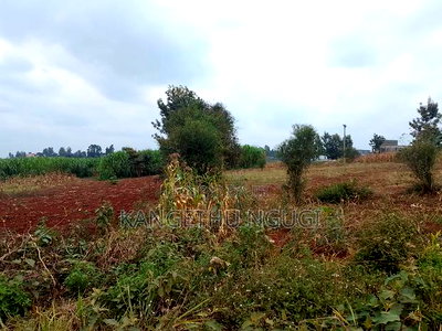 Two 40x80 Plots Kiora Estate Kiambu - Image 1