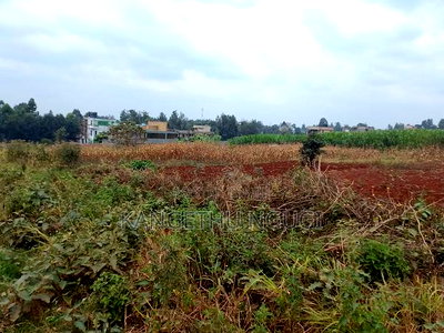 Two 40x80 Plots Kiora Estate Kiambu - Image 2