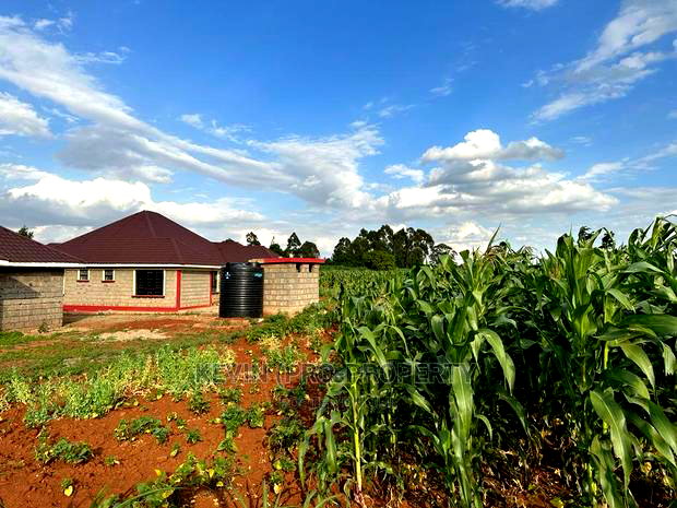 Residential 1/8 Acre Plots for Sale in Kikuyu, Rose Gate.