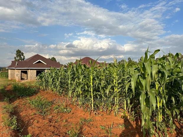 Residential 1/8 Acre Plots for Sale in Kikuyu, Rose Gate.