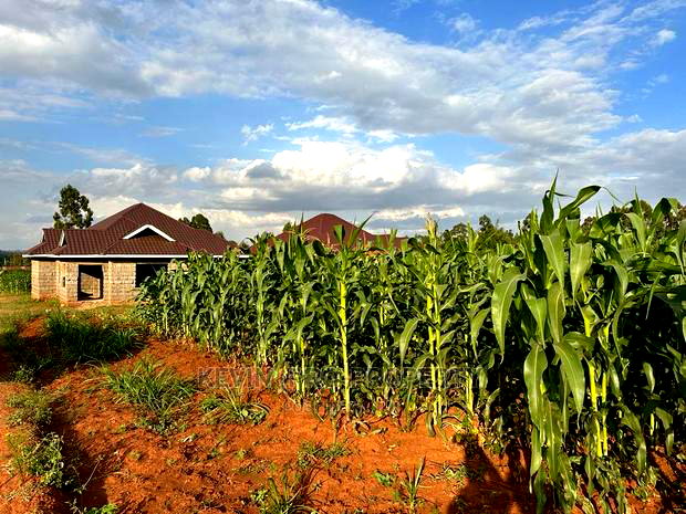 Residential 1/8 Acre Plots for Sale in Kikuyu, Rose Gate.