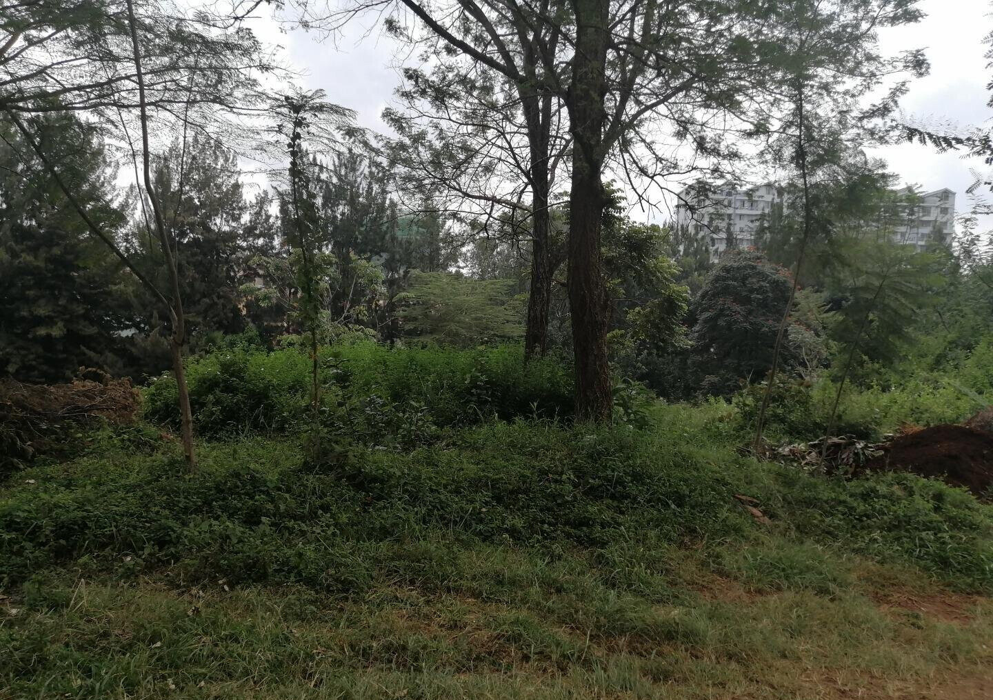 8M per Acre Land Deal