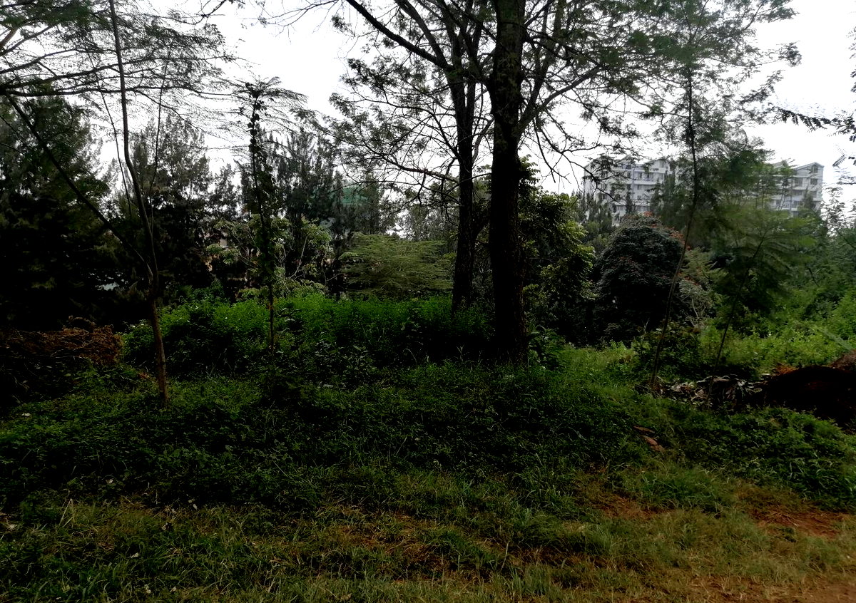 8M per Acre Land Deal