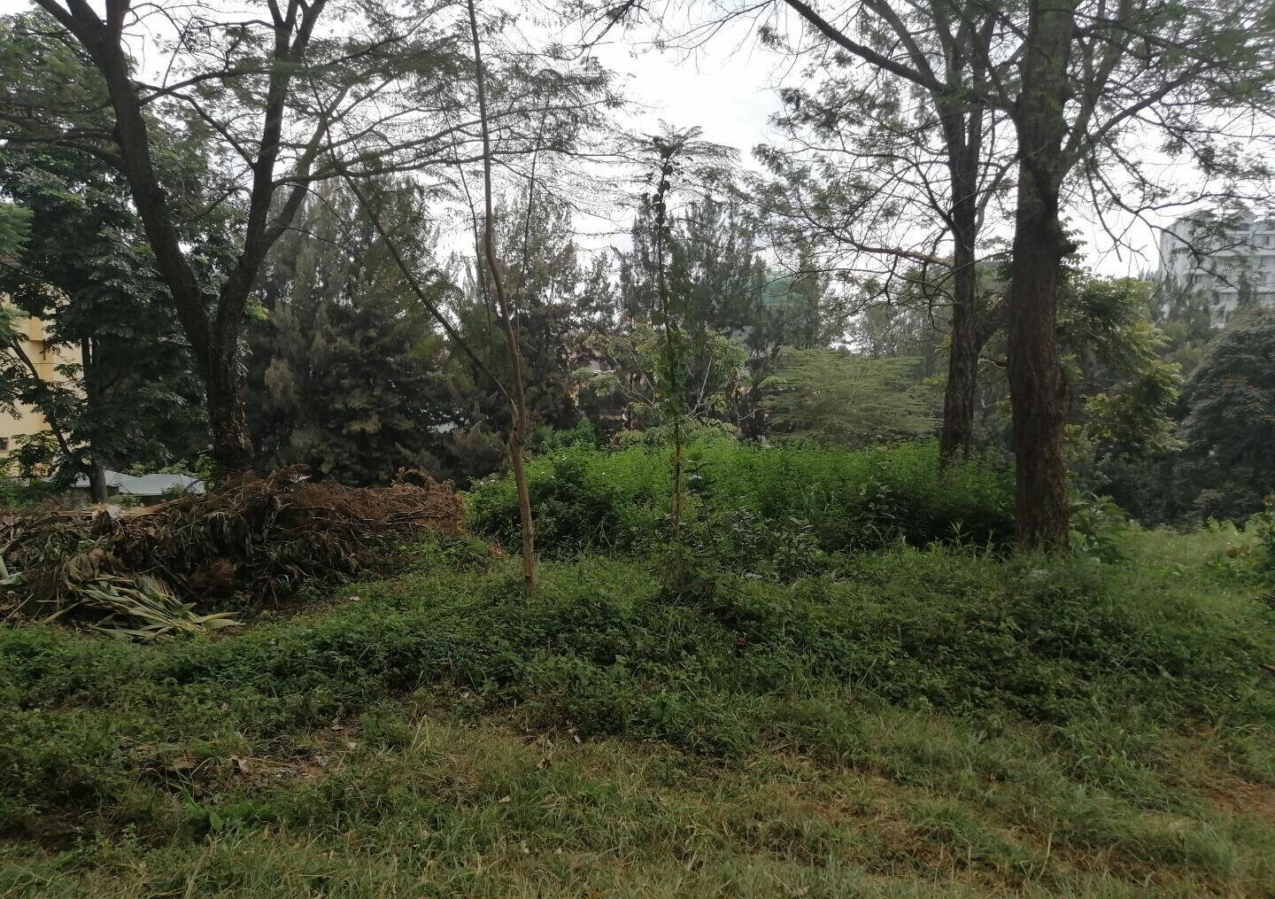 8M per Acre Land Deal