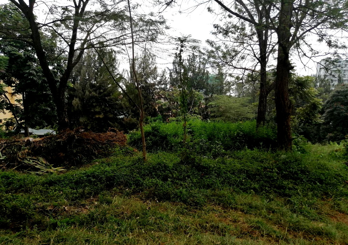8M per Acre Land Deal