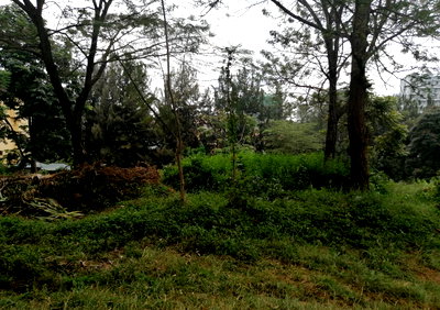 8M per Acre Land Deal
