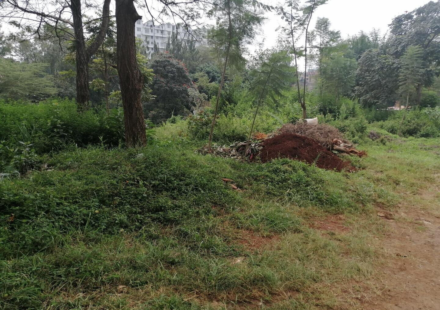 8M per Acre Land Deal
