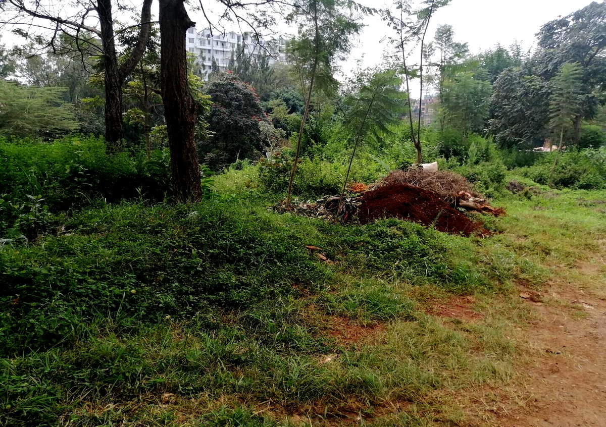 8M per Acre Land Deal