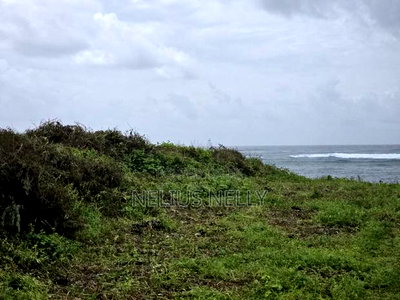 2nd Row Beach 1acres Land Kilifi Chumani - Image 4