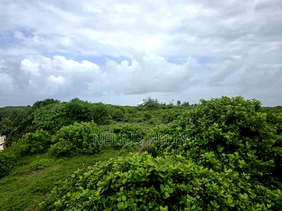 2nd Row Beach 1acres Land Kilifi Chumani - Image 2