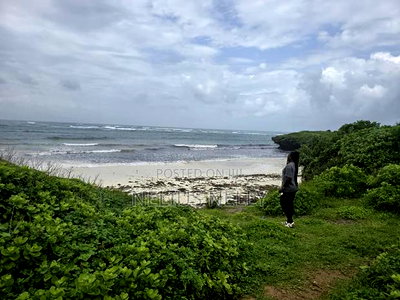 2nd Row Beach 1acres Land Kilifi Chumani - Image 1