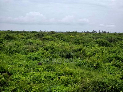 2nd Row Beach 1acres Land Kilifi Chumani - Image 3