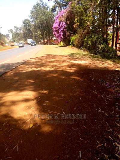 Prime Land for Rent 1/2 Acres,Mugutha - Image 3