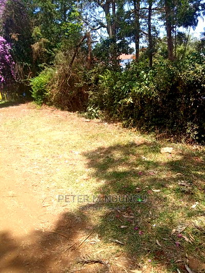 Prime Land for Rent 1/2 Acres,Mugutha - Image 1