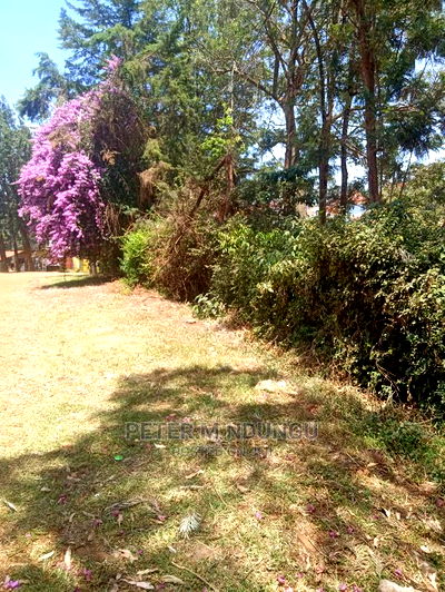 Prime Land for Rent 1/2 Acres,Mugutha - Image 4