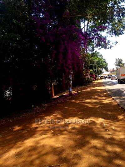 Prime Land for Rent 1/2 Acres,Mugutha - Image 5