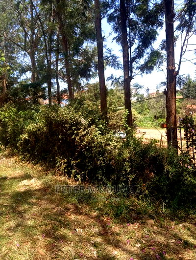 Prime Land for Rent 1/2 Acres,Mugutha - Image 2