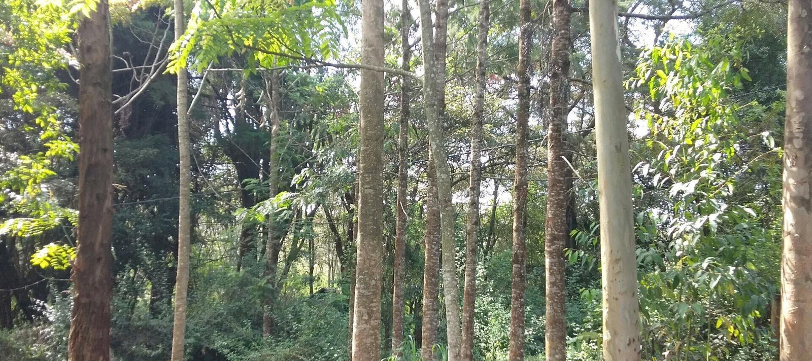 4-Bed Townhouse on 5 Acres Bordering Kenyatta Land – Karen
