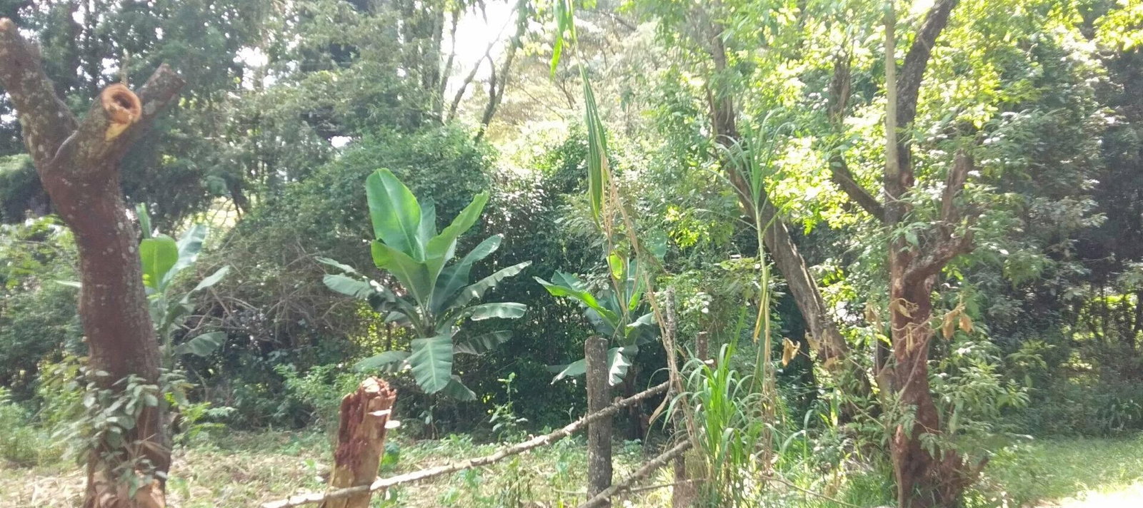 4-Bed Townhouse on 5 Acres Bordering Kenyatta Land – Karen