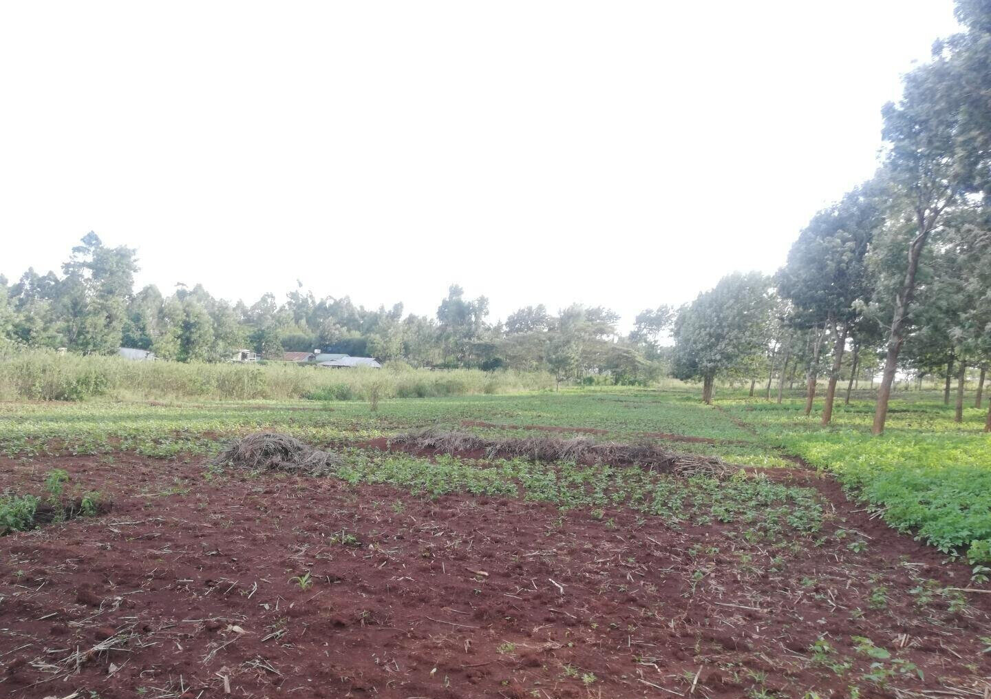 Garden Plot in Kibiku, Ngong