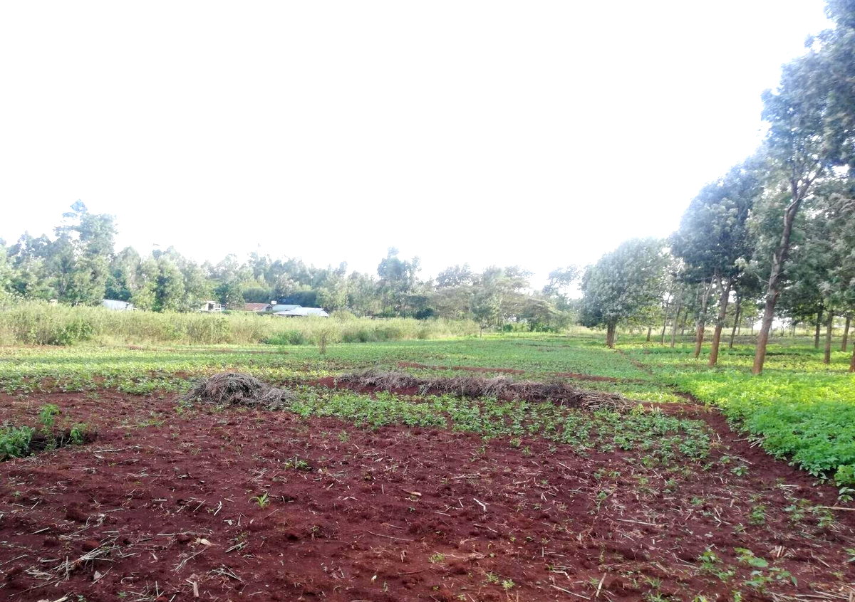 Garden Plot in Kibiku, Ngong