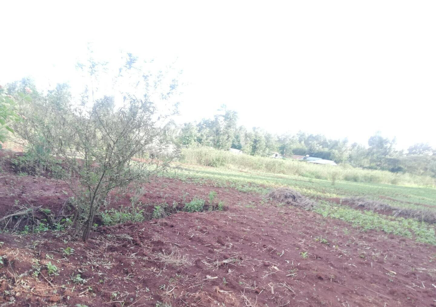 Garden Plot in Kibiku, Ngong