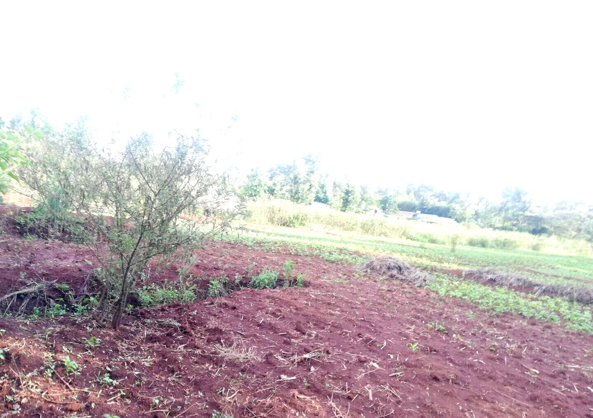 Garden Plot in Kibiku, Ngong