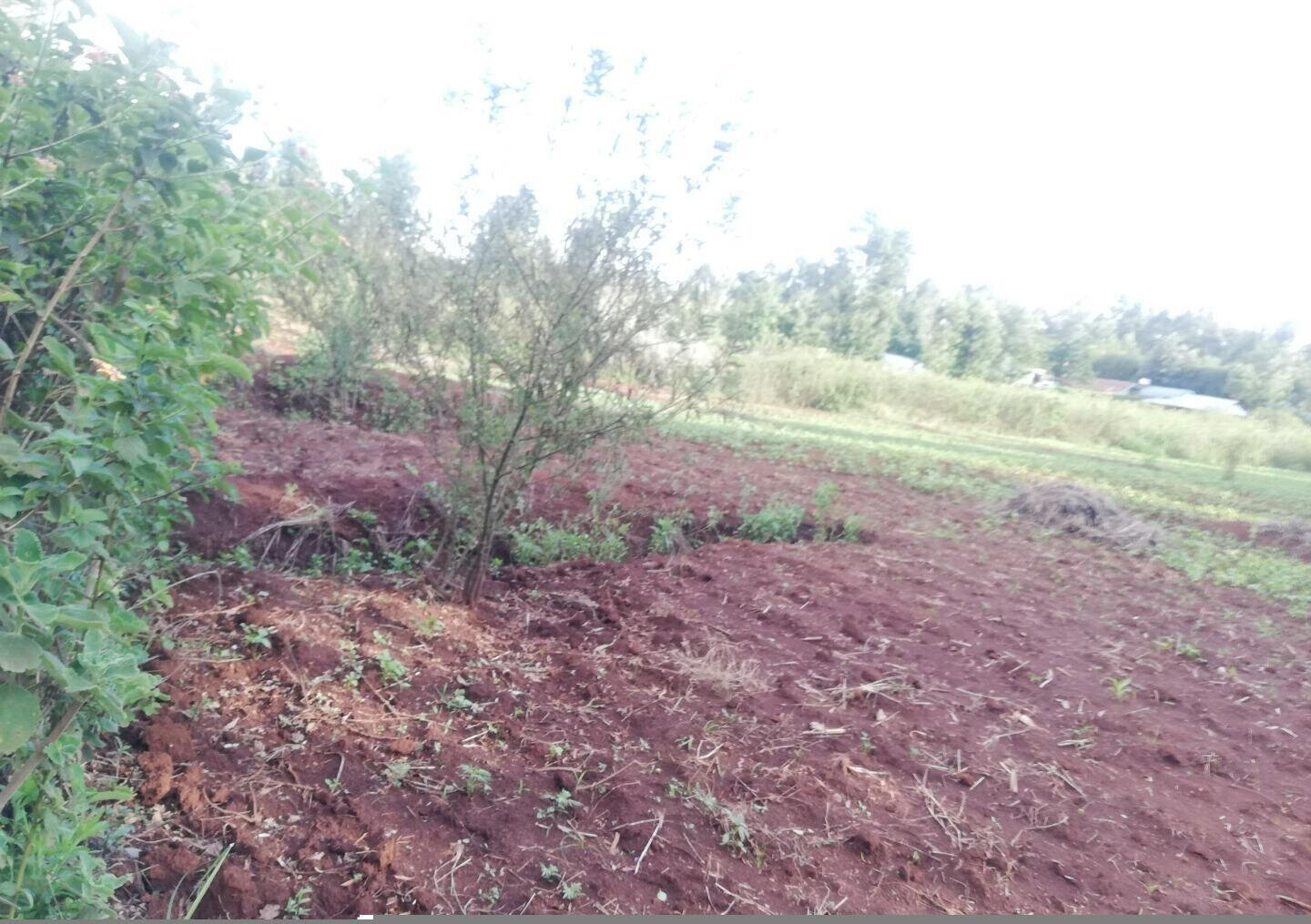 Garden Plot in Kibiku, Ngong