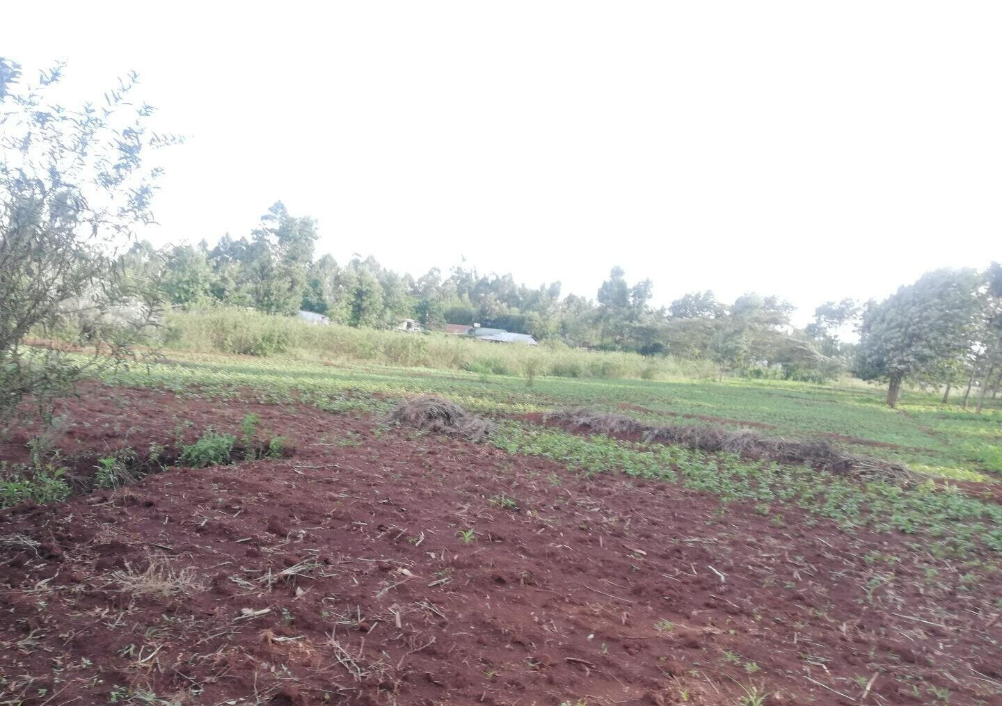 Garden Plot in Kibiku, Ngong